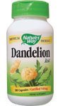 Nature's Way Dandelion Root, 525mg - 100 Capsules